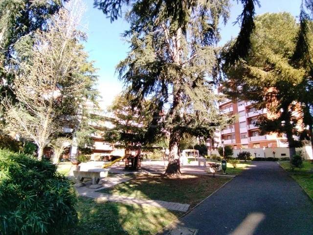 immagine annuncio 3 di 13