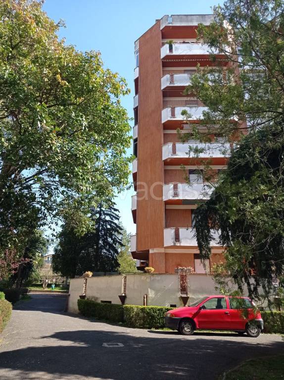 immagine annuncio 4 di 13