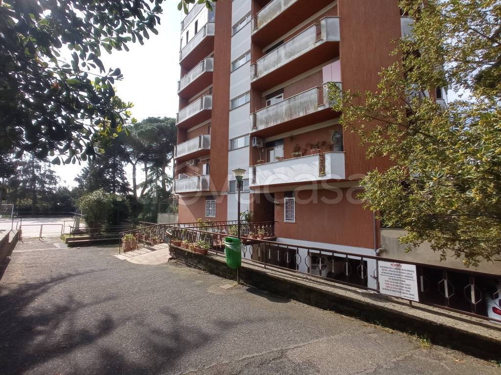 immagine annuncio 5 di 13
