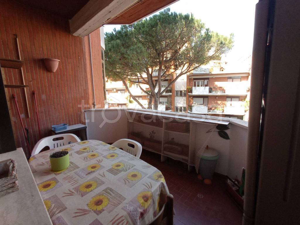 immagine annuncio 9 di 13