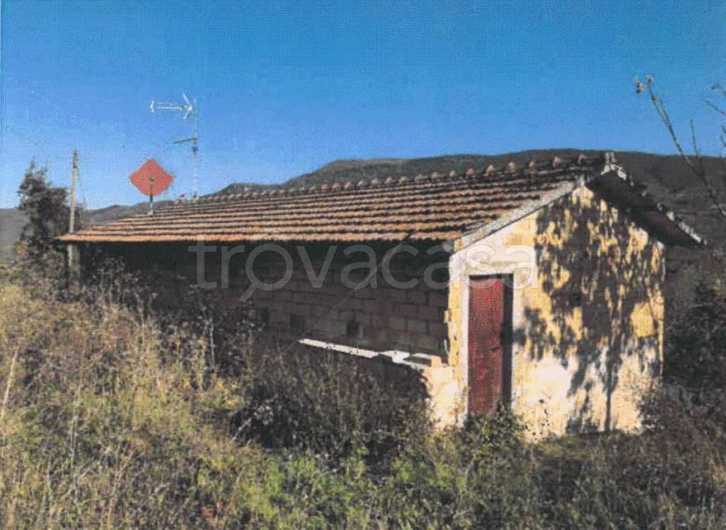 immagine annuncio 2 di 7