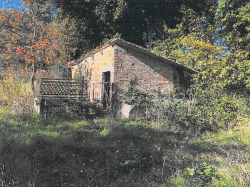 immagine annuncio 3 di 7