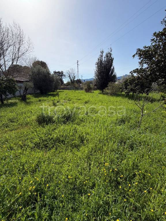 immagine annuncio 4 di 11