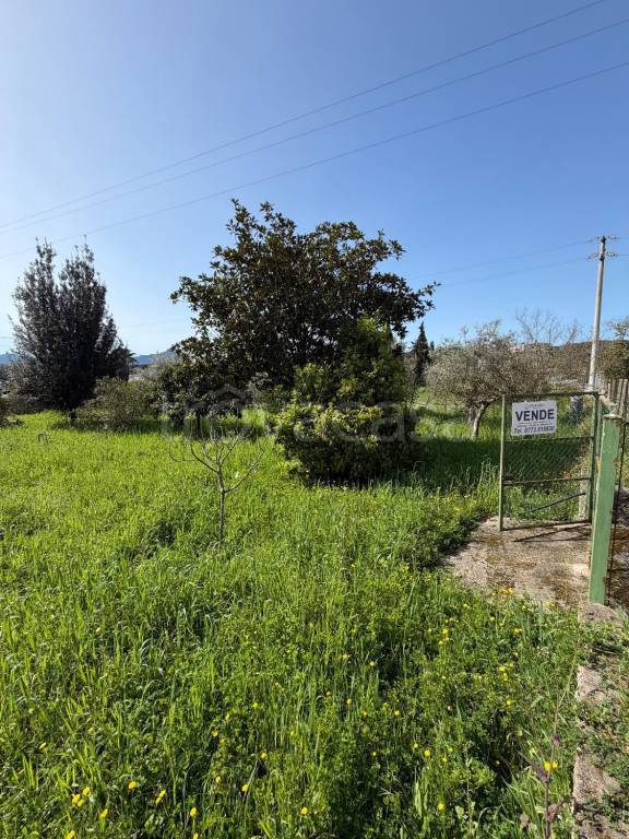 immagine annuncio 5 di 11