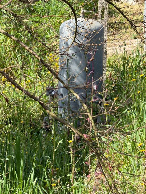 immagine annuncio 7 di 11