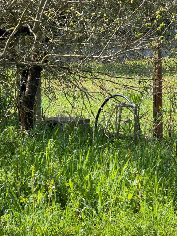 immagine annuncio 9 di 11