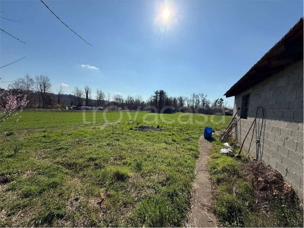 immagine annuncio 5 di 9