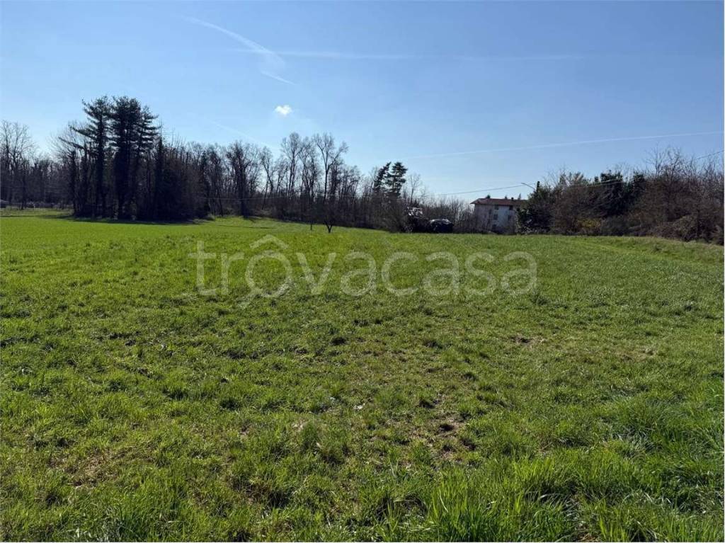 immagine annuncio 6 di 9