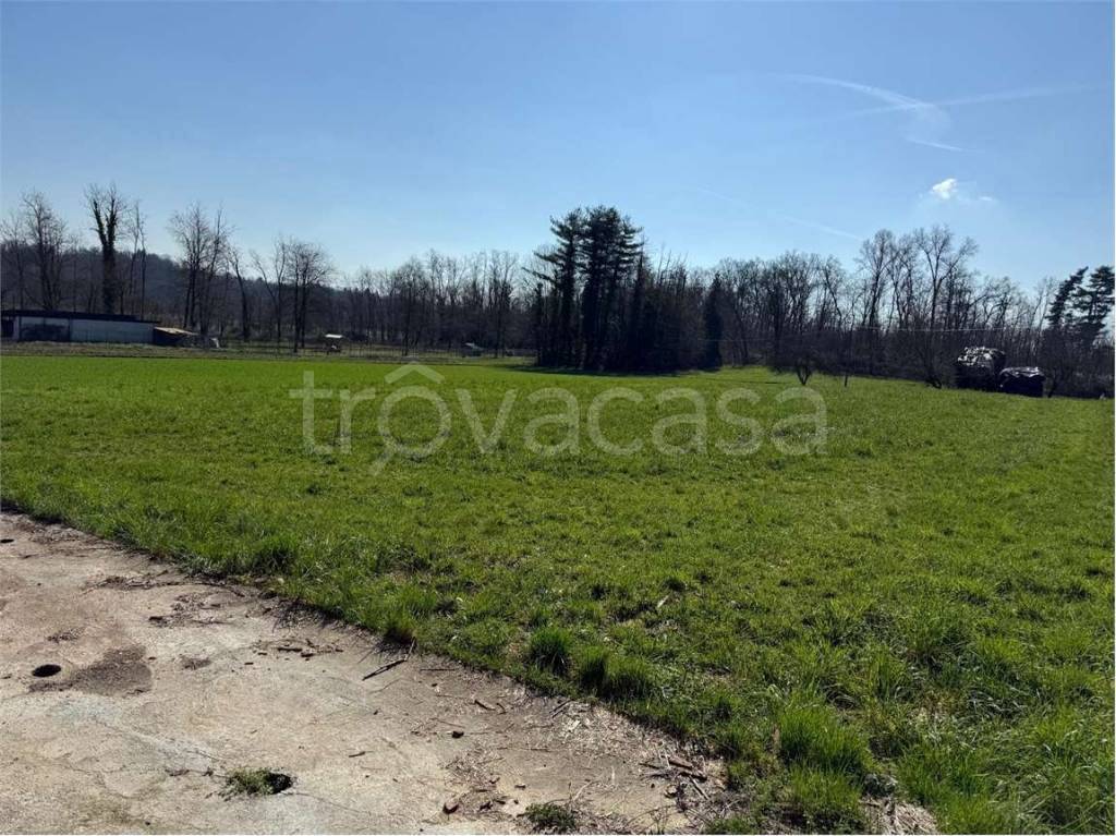 immagine annuncio 7 di 9