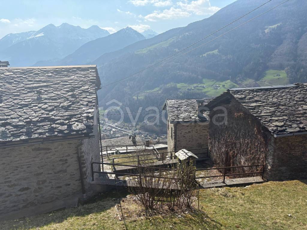 immagine annuncio 12 di 15