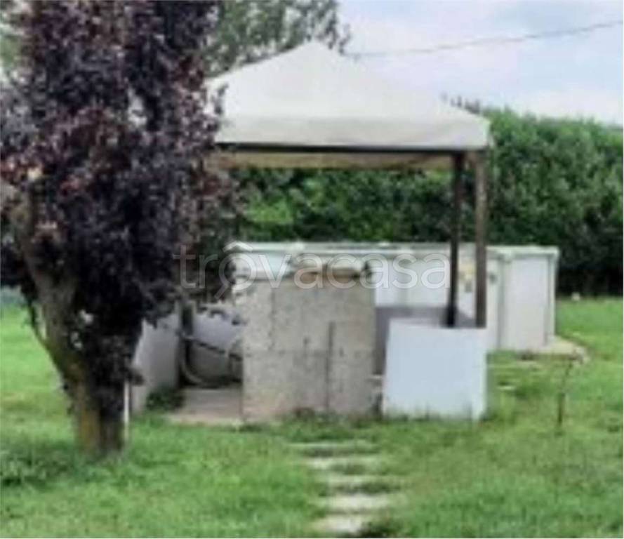 immagine annuncio 6 di 11