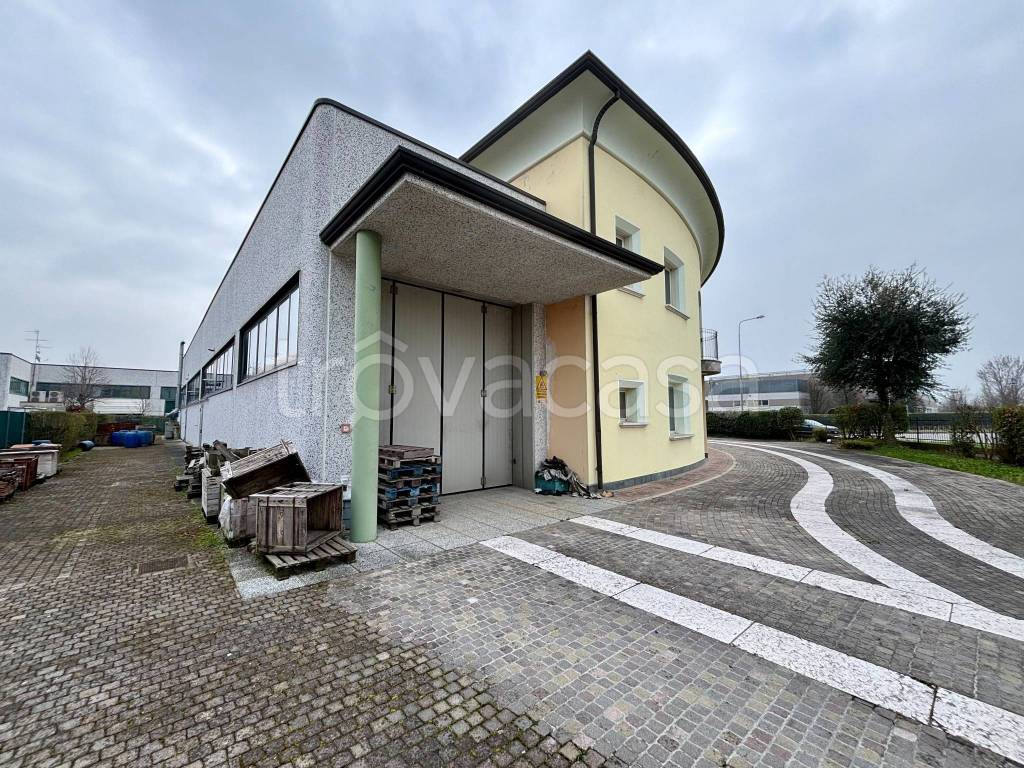 immagine annuncio 2 di 15