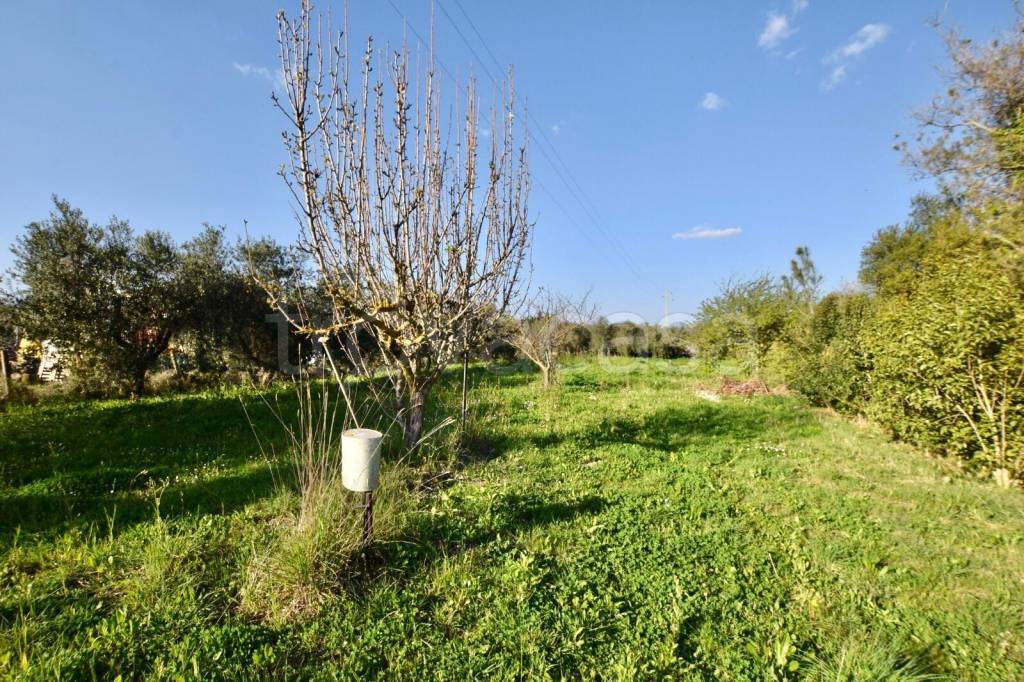 immagine annuncio 1 di 7