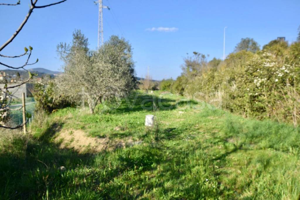 immagine annuncio 2 di 7