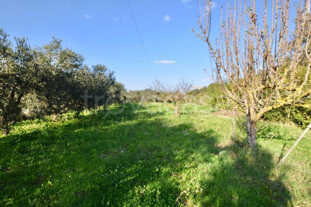 immagine annuncio 3 di 7