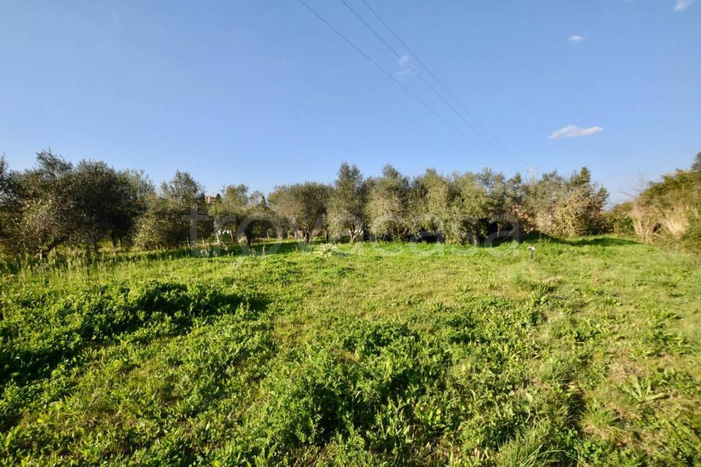 immagine annuncio 4 di 7