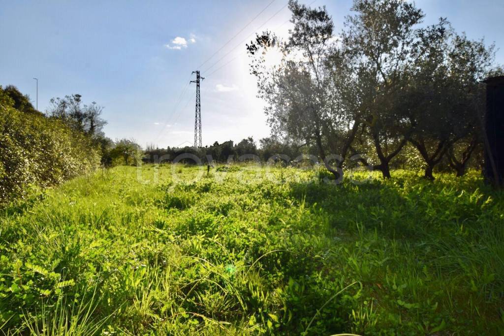 immagine annuncio 5 di 7