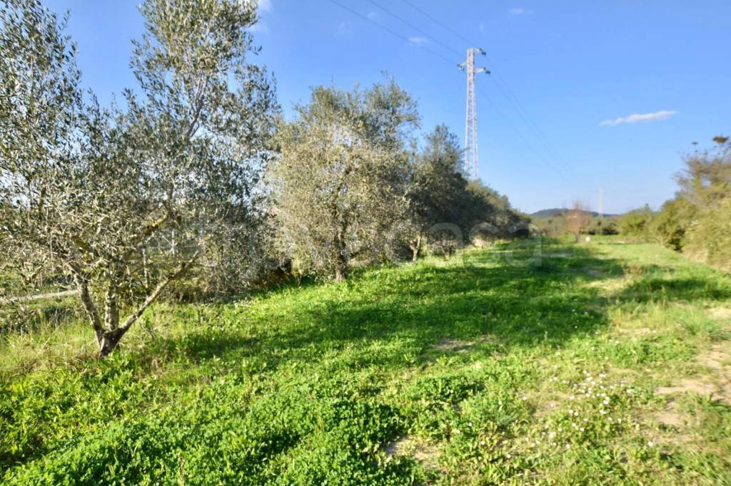 immagine annuncio 6 di 7