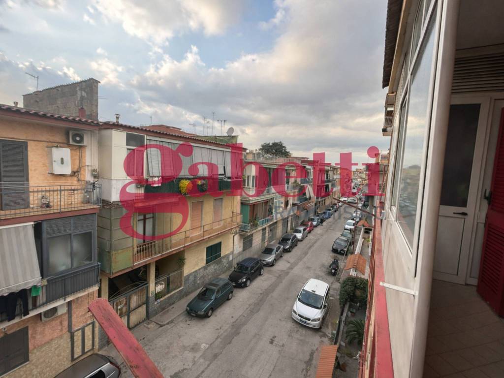 immagine annuncio 5 di 14