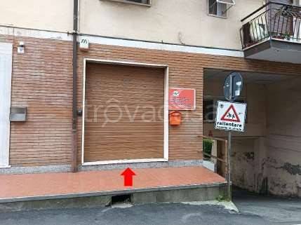 immagine annuncio 2 di 12