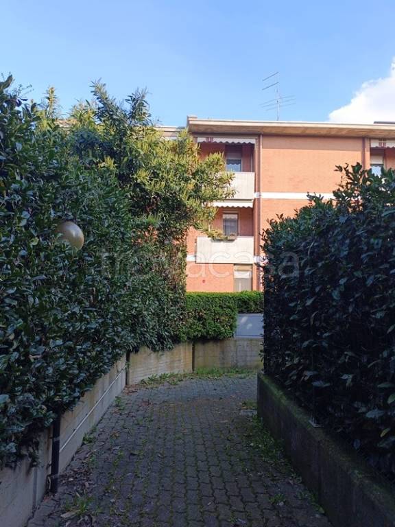 immagine annuncio 2 di 15