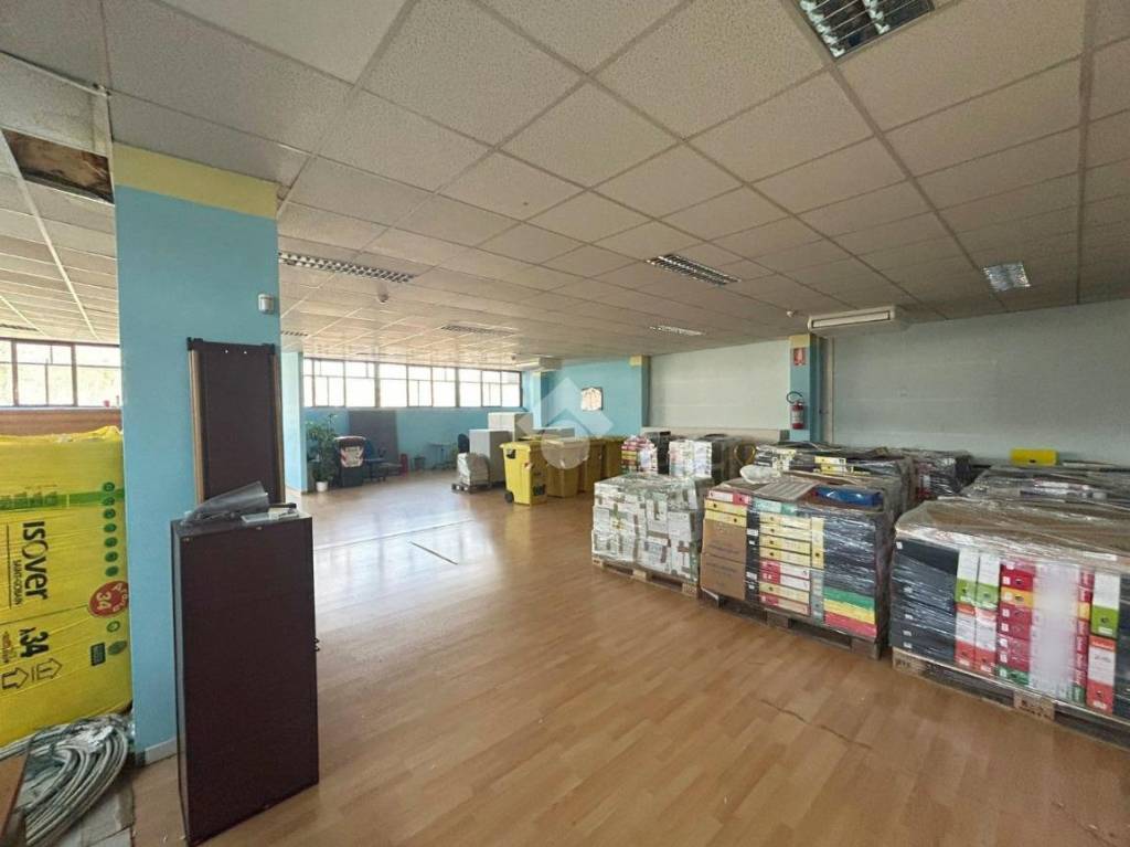 immagine annuncio 2 di 13