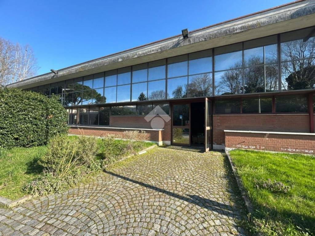 immagine annuncio 6 di 13