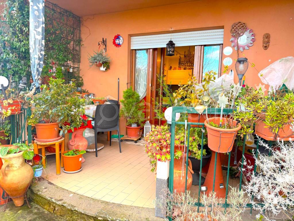 immagine annuncio 1 di 15