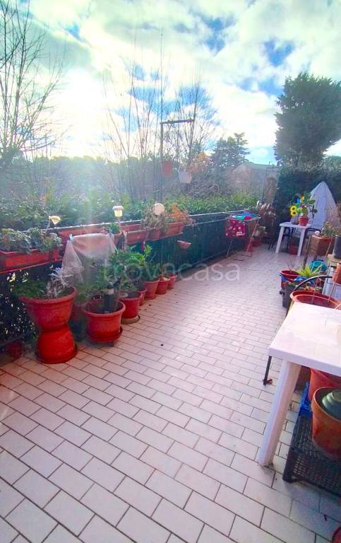 immagine annuncio 12 di 15