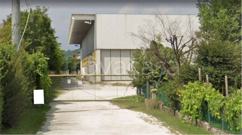 immagine annuncio 2 di 6