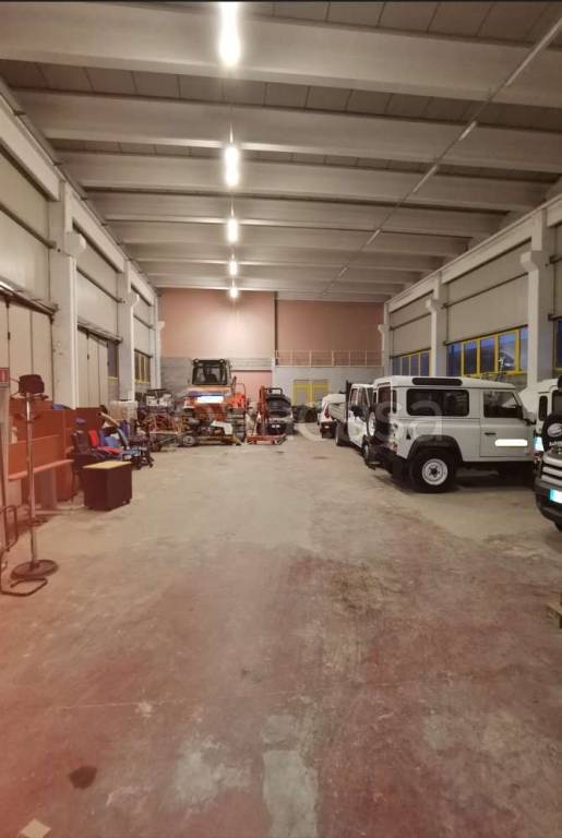 immagine annuncio 3 di 6