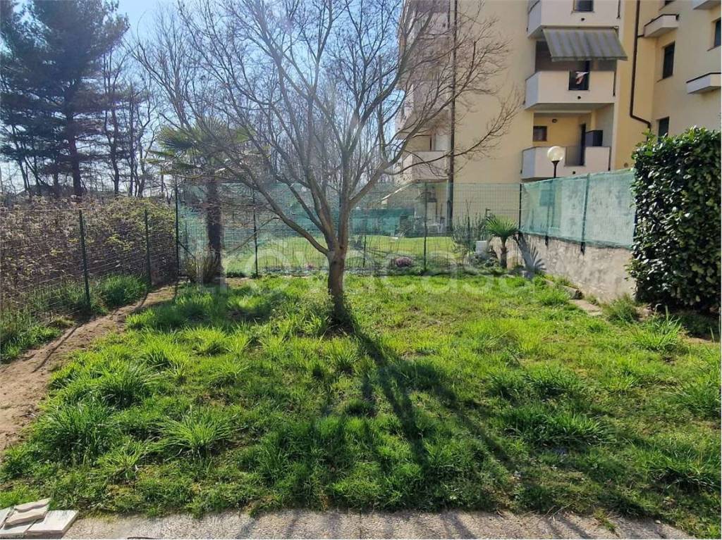 immagine annuncio 12 di 15