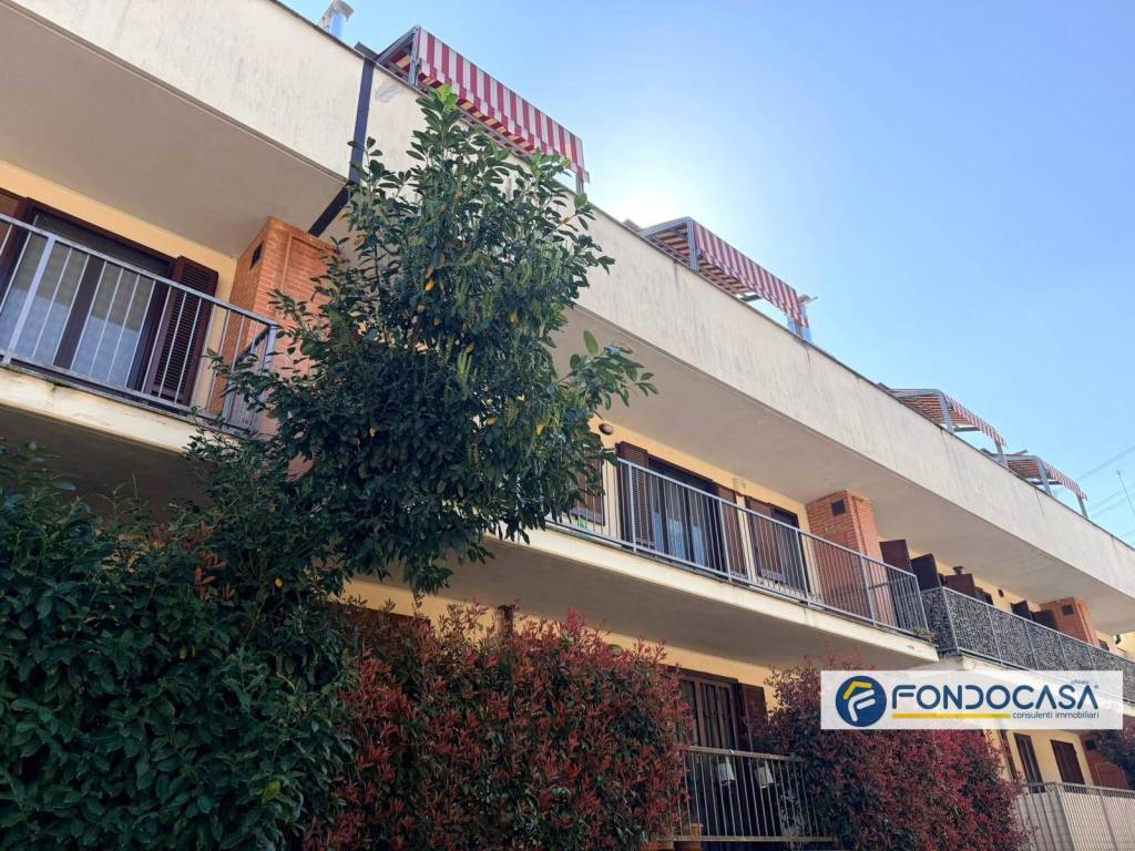 immagine annuncio 13 di 15