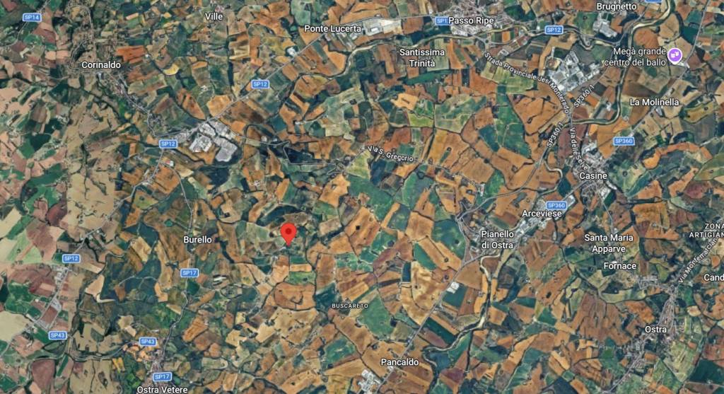 immagine annuncio 4 di 8