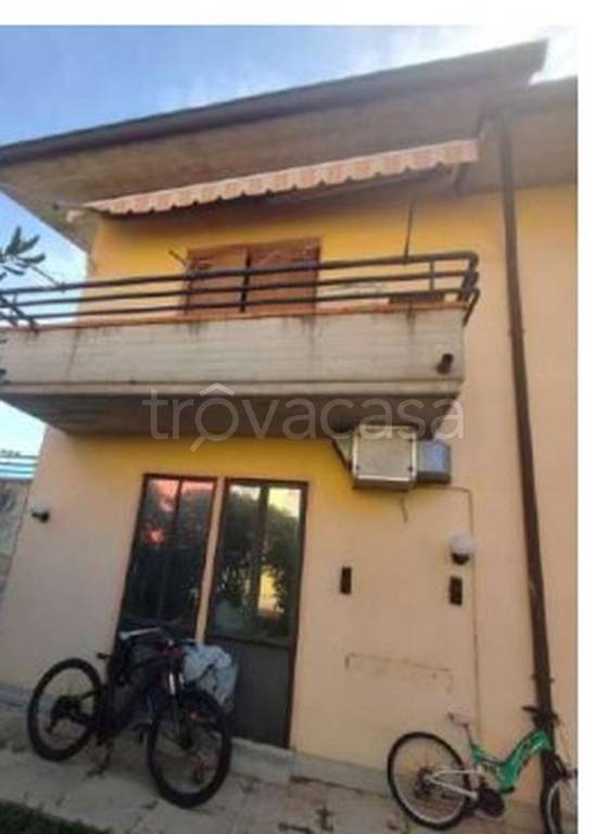 immagine annuncio 7 di 11