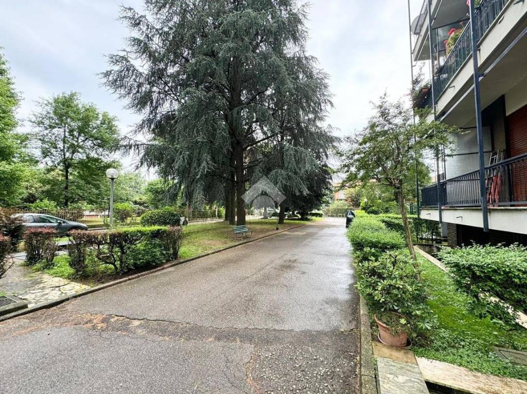 immagine annuncio 11 di 12