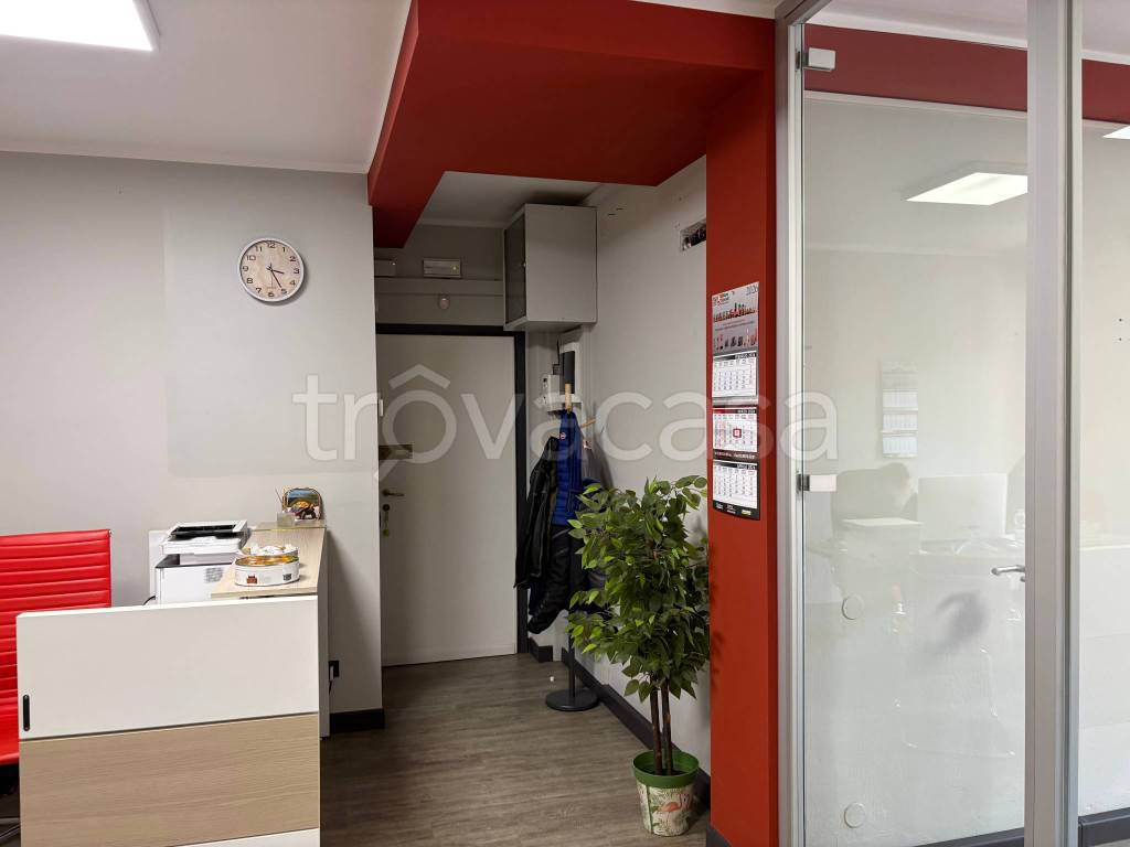 immagine annuncio 1 di 11