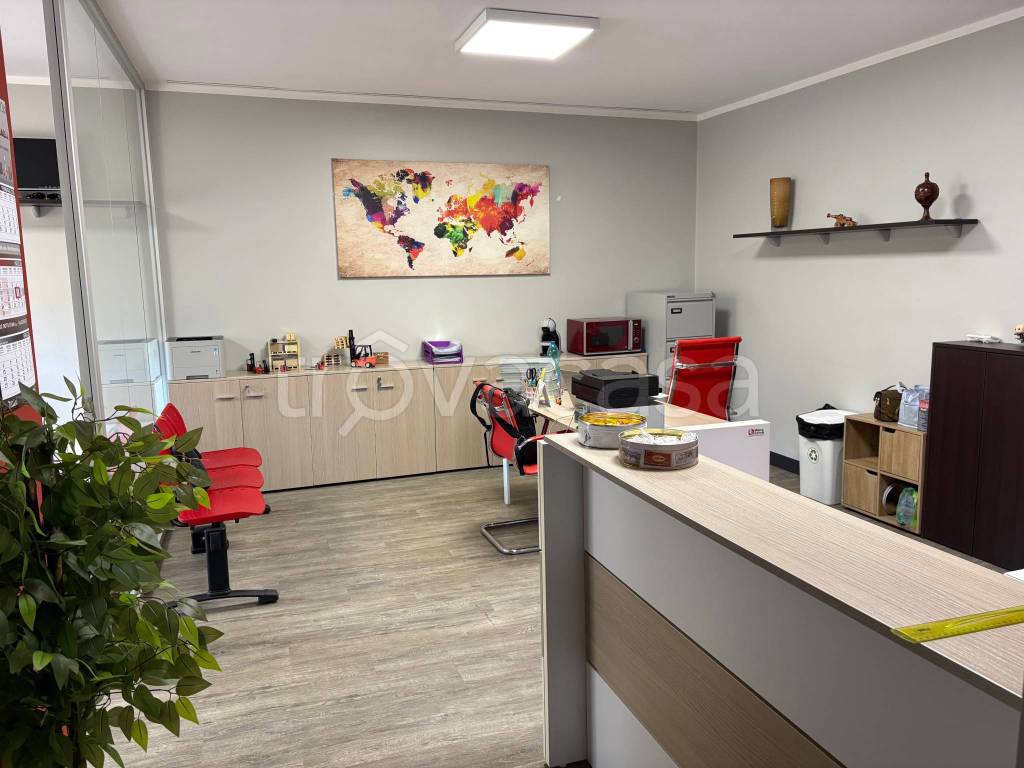 immagine annuncio 4 di 11