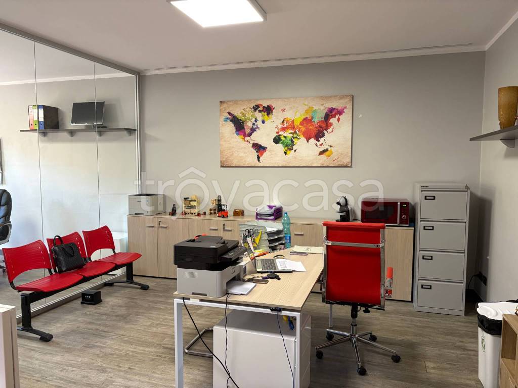 immagine annuncio 5 di 11