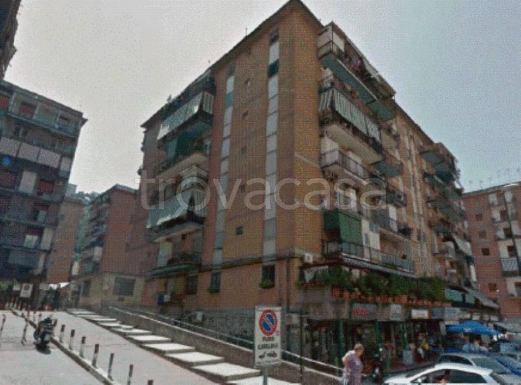 immagine annuncio 11 di 12