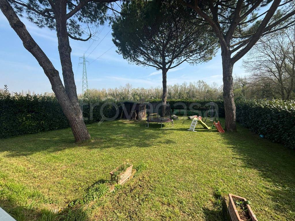 immagine annuncio 9 di 12