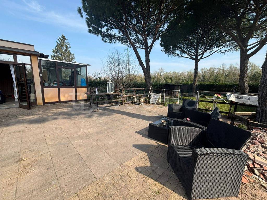 immagine annuncio 10 di 12