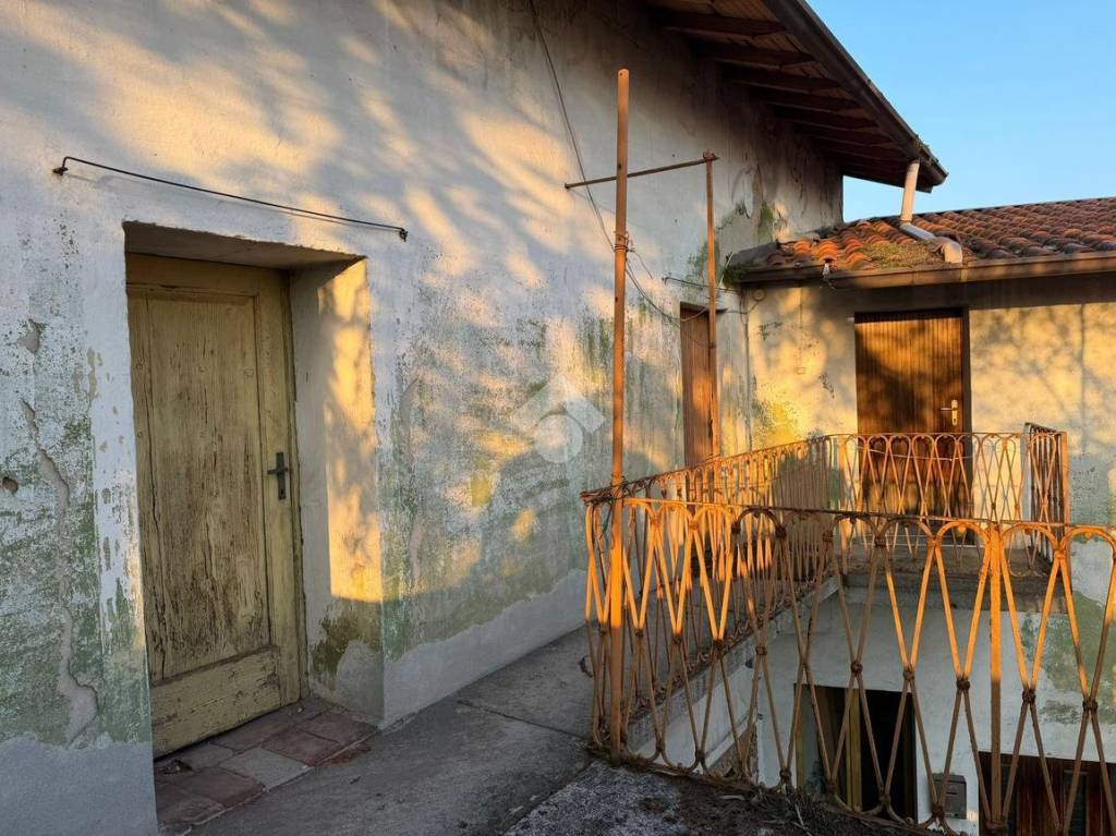 immagine annuncio 7 di 14