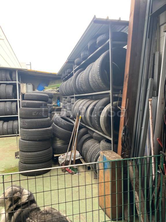 immagine annuncio 14 di 15