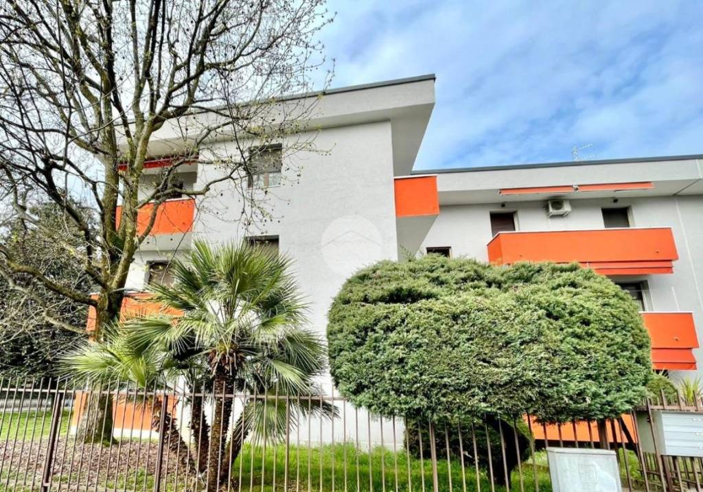 immagine annuncio 1 di 14