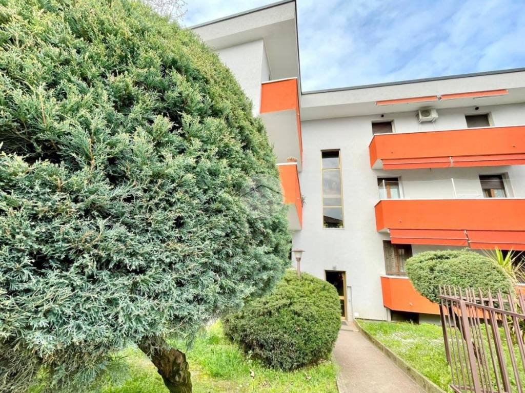 immagine annuncio 2 di 14