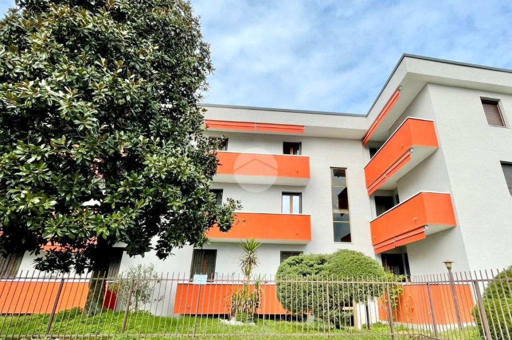 immagine annuncio 3 di 14