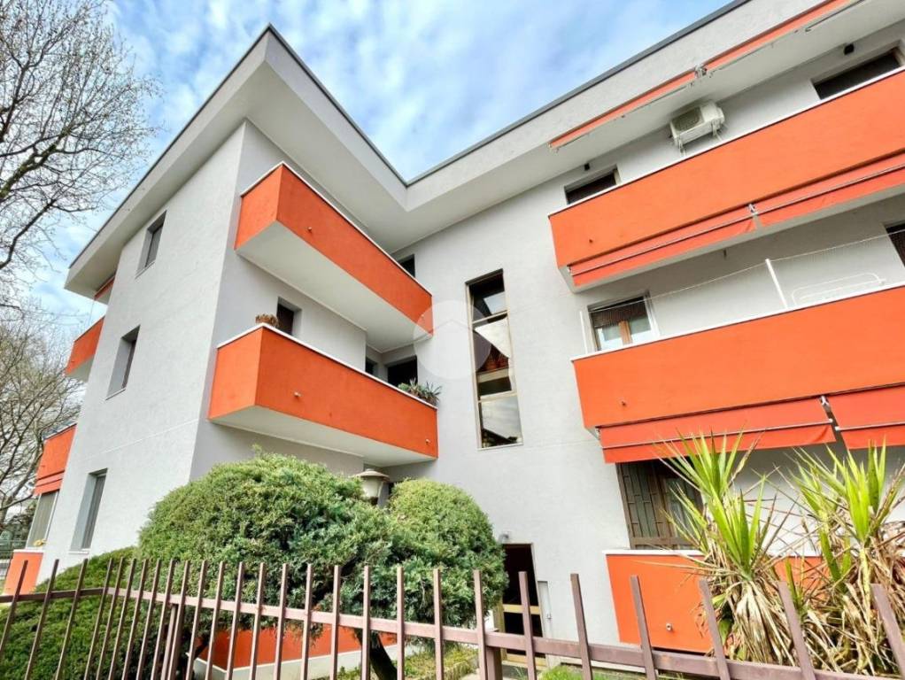 immagine annuncio 4 di 14