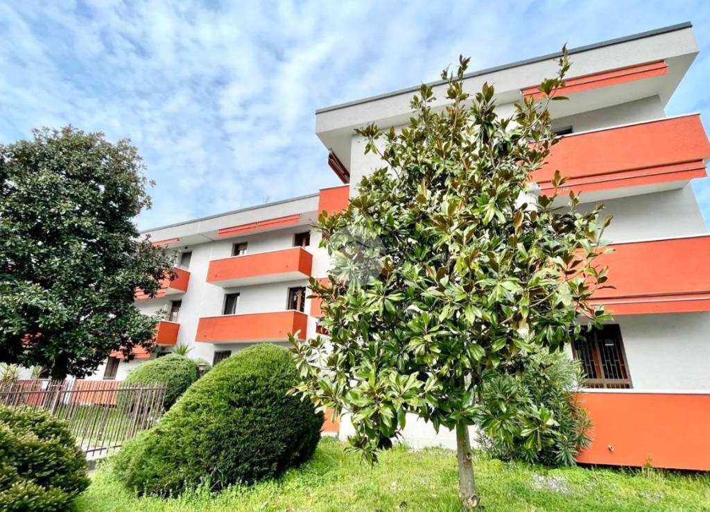 immagine annuncio 5 di 14