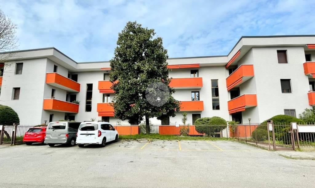 immagine annuncio 6 di 14